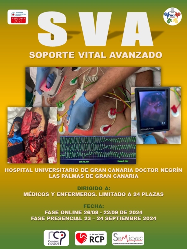 Cursos del Plan Nacional de RCP – Semicyuc
