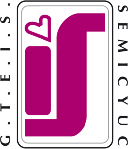 GTEISmini